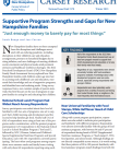 cover of front cover of supportive program strengths and gaps brief