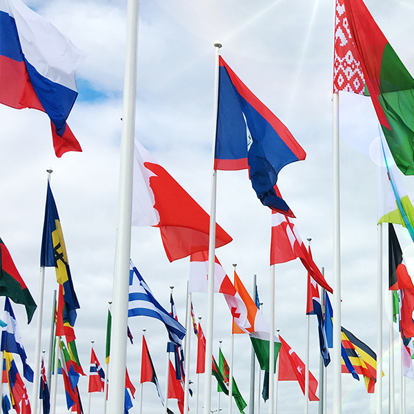 grouping of tens of international flags