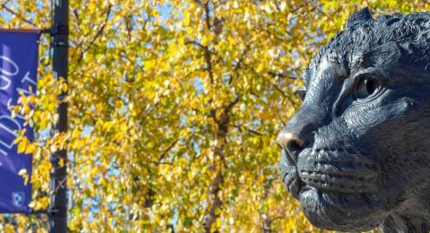 A portrait of the wildcat statue at UNH Durham