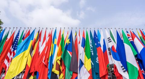 international flags