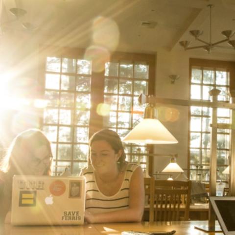 Students studying in Diamond Library