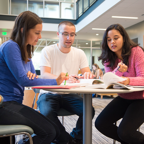 MPP students studying together in a lounge