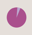 Icon of a pie chart 95% full