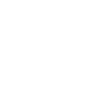 Icon of globe