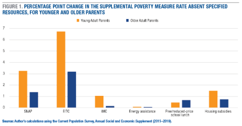 figure1-safety-net-young-adult-parents