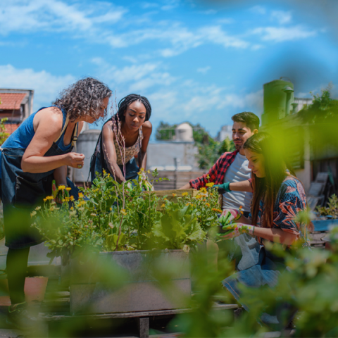 community members interacting around garden