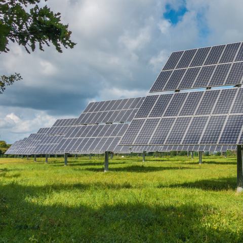solar panels in a field