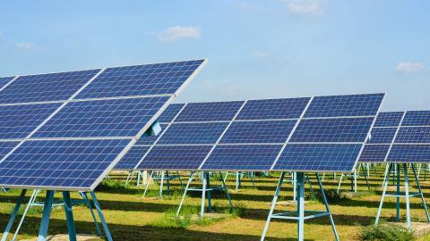 solar panels in a field