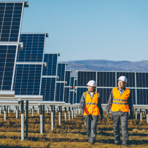 solar panels in a field with workers