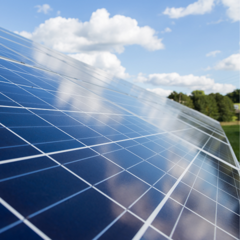 solar panels in a field