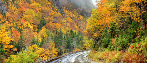 railroad track through the white mountains of NH in the fall foliage