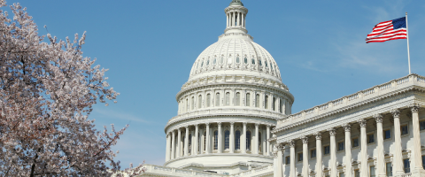 U.S. Capitol Building