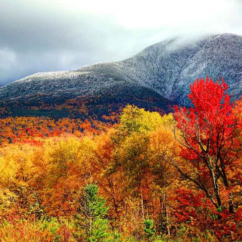 A photograph of the New Hampshire White Mountains during the fall with colored leaves on the trees