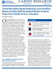 cover of brief showing title, text, and key findings