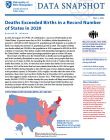 cover of deaths exceeded births snapshot