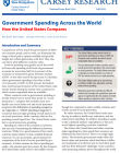 cover of government spending brief