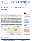 cover-us-fertility-rates-births-diminish