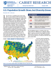 cover of US population and diversity brief