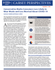 cover of conservative media consumers brief