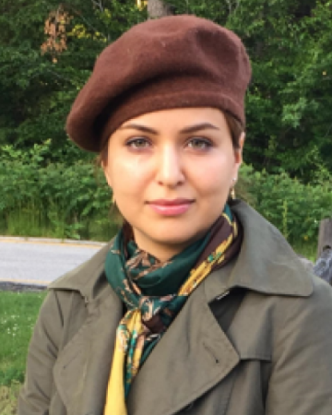 image of hajnaghizadeh