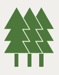 Icon of Evergreen Trees