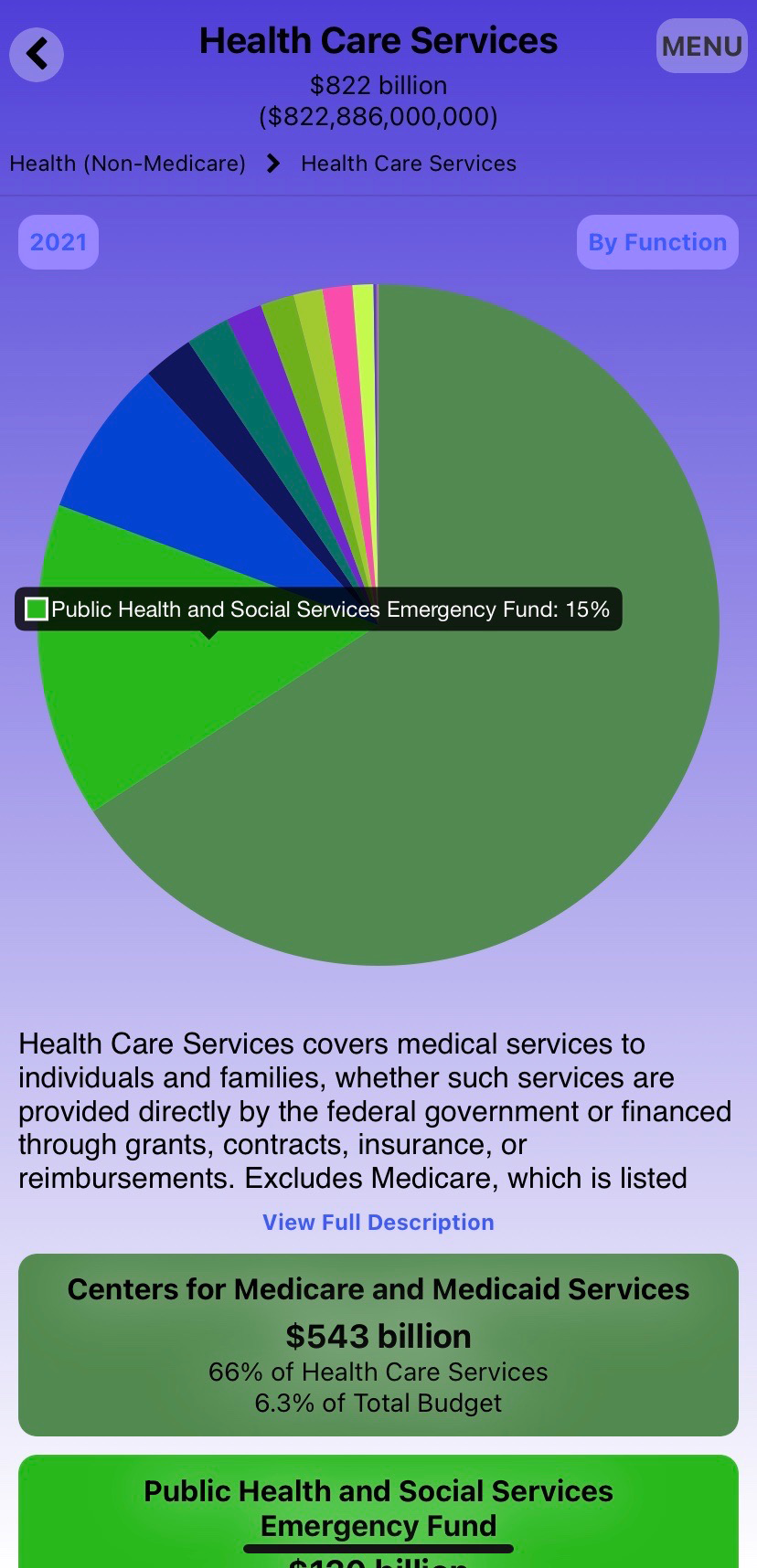 A screenshot of the FedGovSpend app's Health Care Services