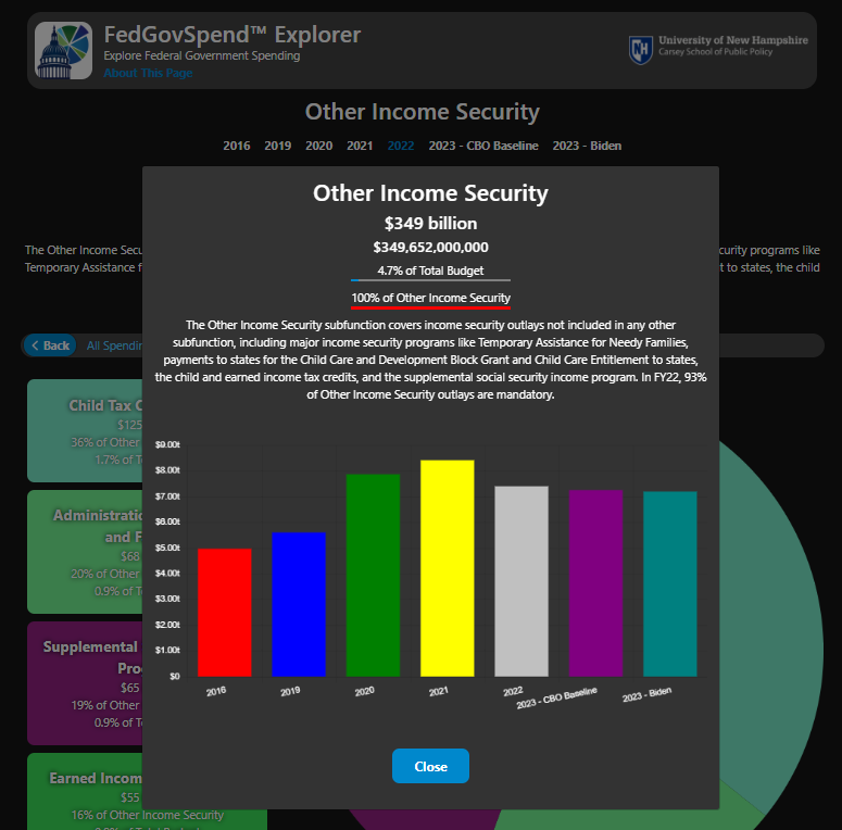 screen shot of other income security in fedgovspend browser