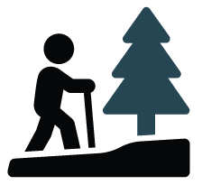 icon image of person hiking and an evergreen tree